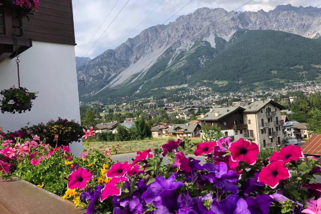 Appartamento a due passi da Bormio Valdisotto Exterior foto